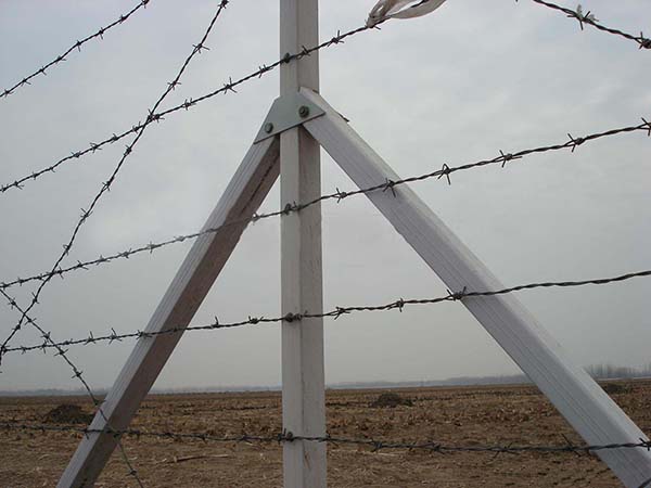 麗江刺鐵絲柵欄圖片1