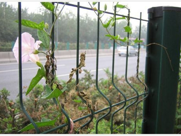 濰坊隔離帶護(hù)欄網(wǎng)