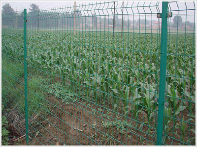 園林護(hù)欄網(wǎng)