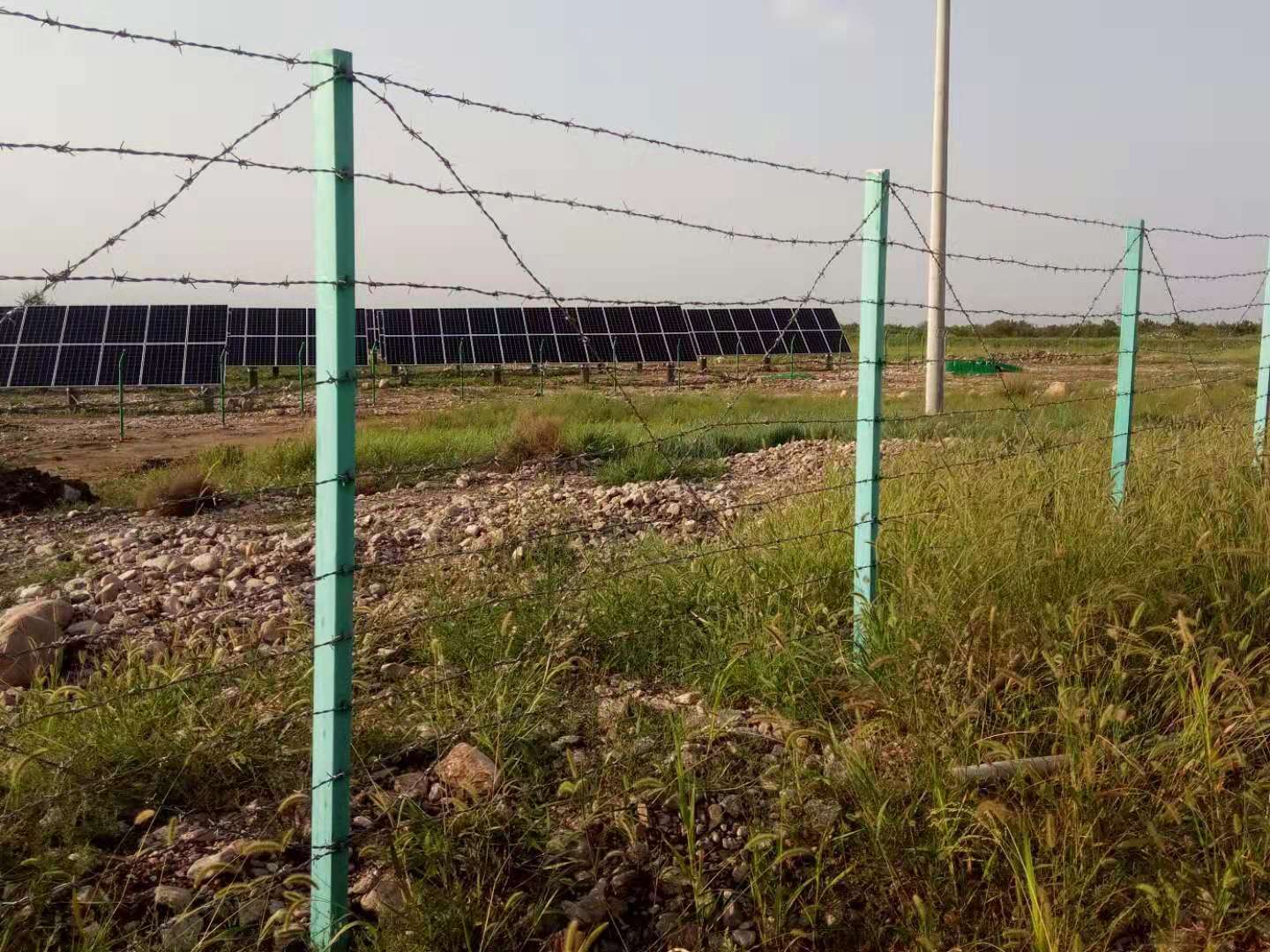 濰坊刺繩護(hù)欄網(wǎng)圖片4 濰坊刺繩護(hù)欄網(wǎng)圖片4