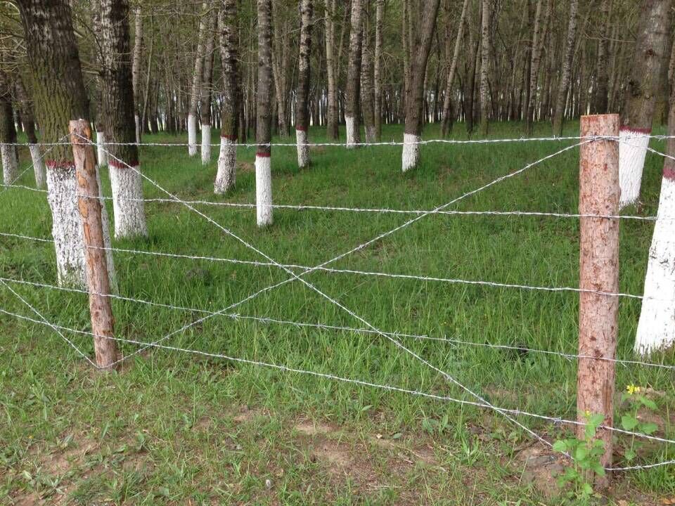 濰坊刺繩護(hù)欄網(wǎng)圖片5 濰坊刺繩護(hù)欄網(wǎng)圖片5