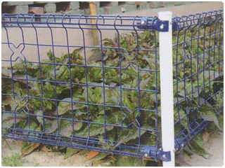 雙圈護(hù)欄網(wǎng) 雙圈護(hù)欄網(wǎng)