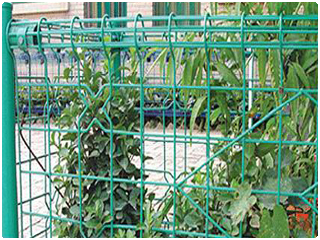 雙圈護(hù)欄網(wǎng) 雙圈護(hù)欄網(wǎng)