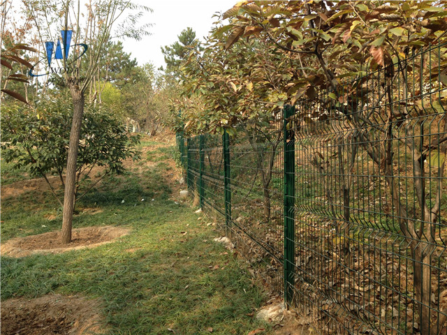 濰坊小區(qū)隔離網(wǎng)圖片4 濰坊小區(qū)隔離網(wǎng)圖片4