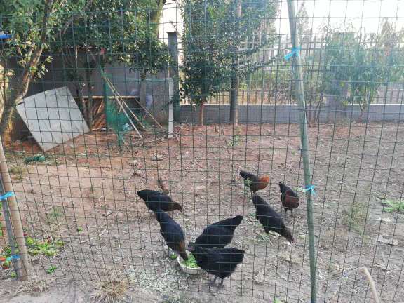 微信圖片_20181021151829 微信圖片_20181021151829