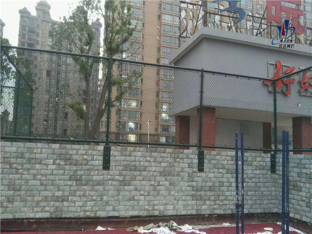 貴州安徽皖西當(dāng)代運(yùn)動場圍網(wǎng)工程圖片5