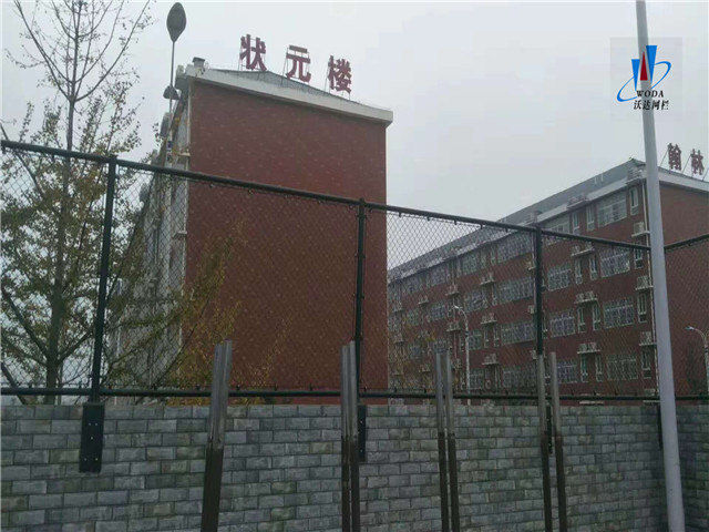 貴州安徽皖西當(dāng)代運(yùn)動場圍網(wǎng)工程圖片6