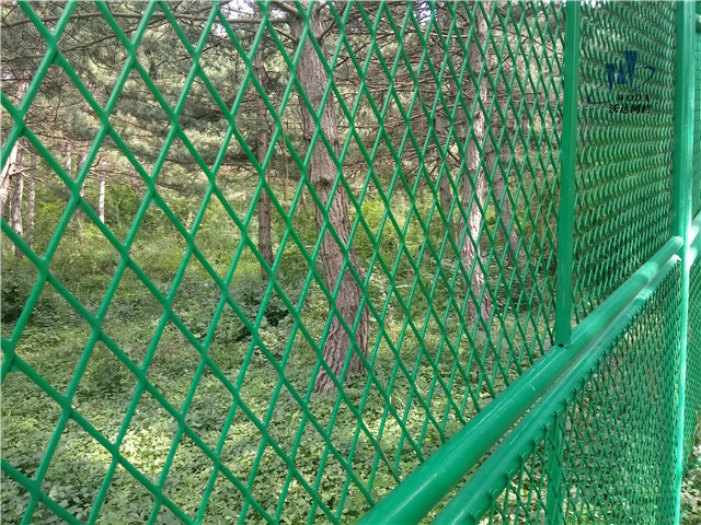 貴州金河口旅游風(fēng)景區(qū)圍欄工程圖片7