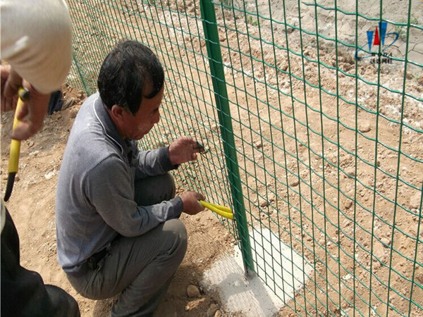 貴州養(yǎng)殖圍欄網(wǎng) 貴州養(yǎng)殖圍欄網(wǎng)