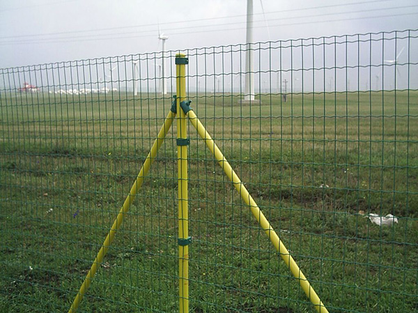 圈地護(hù)欄網(wǎng) - 安平縣中澤絲網(wǎng)制造有限公司圖片1
